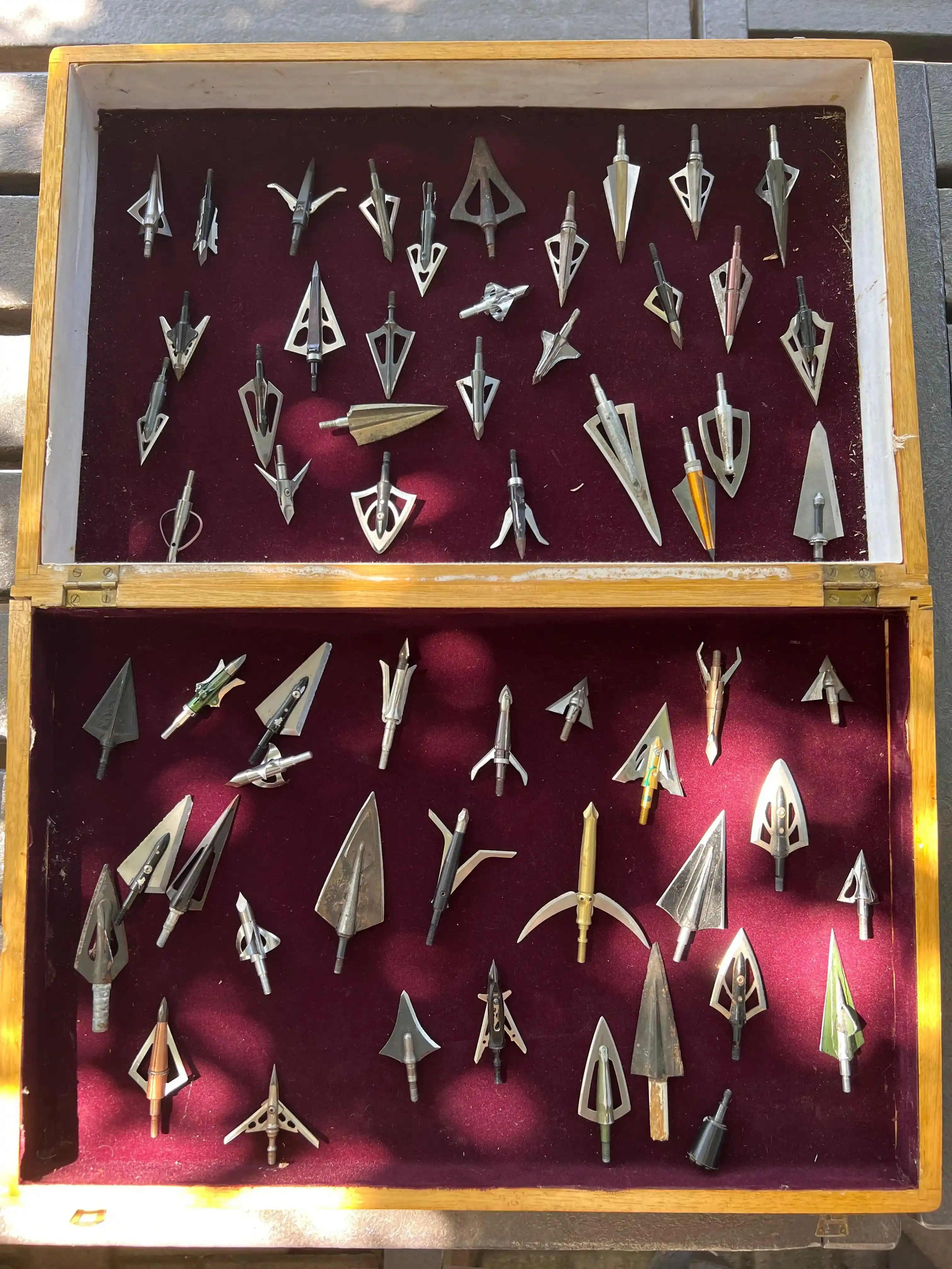 Curso de Cazador Profesional - Imagen 10